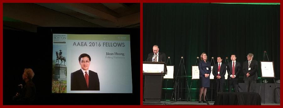 AAEA Fellow.jpg